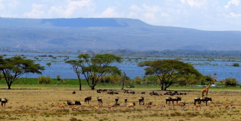 Lake-Naivasha2