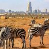 nairobi-national-park-top