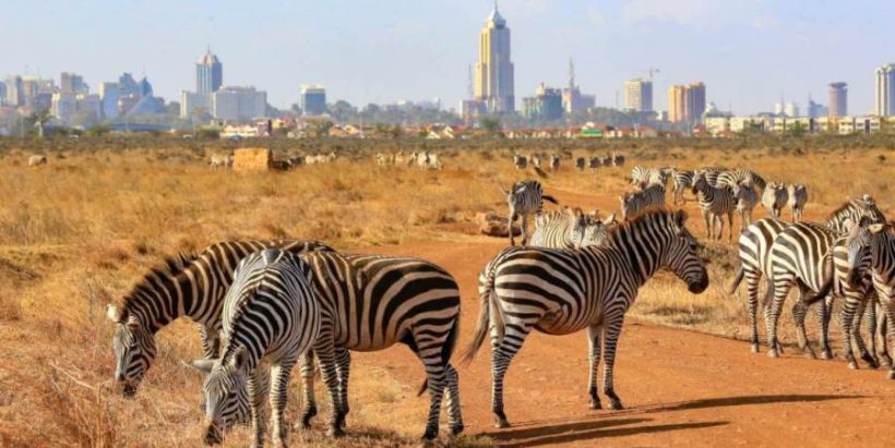 nairobi-national-park-top