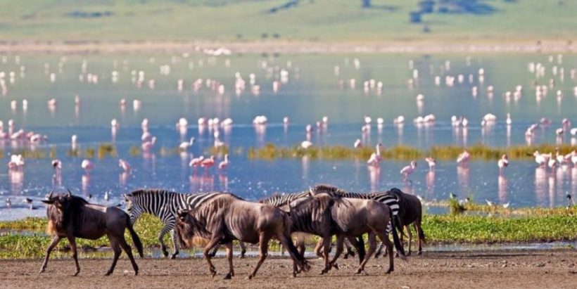 Ngorongoro-Crater2