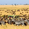 Serengeti-National-Park