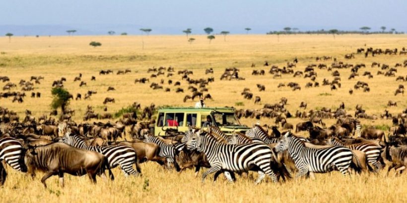 Serengeti-National-Park