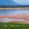 lake-manyara-tours