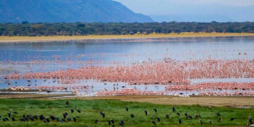 lake-manyara-tours