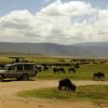 ngorongoro-crater-tour