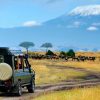 Amboseli-game-drive